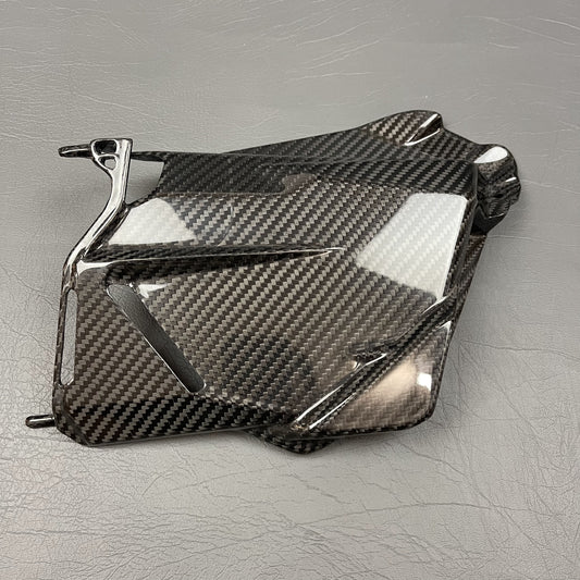 Ducati Streetfighter V2 Carbon Fiber Side Panel